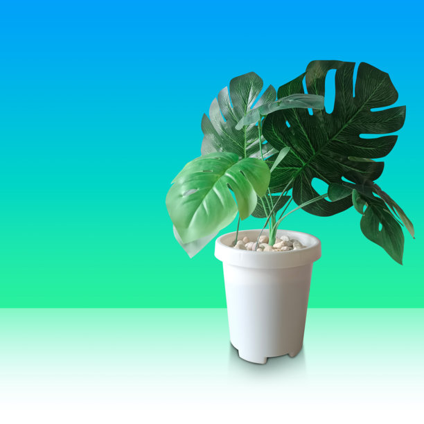 白色塑料盆栽绿色植物，正面视角，置于白色地板上，背景为蓝绿色渐变墙壁，自然，物品，装饰，时尚，可复制空间图片下载