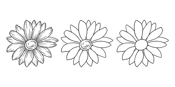雏菊 - 四月诞生花，单色线条艺术矢量图集。手绘植物插画。描绘个性、简约风格和纹身设计的花卉草图。图片下载