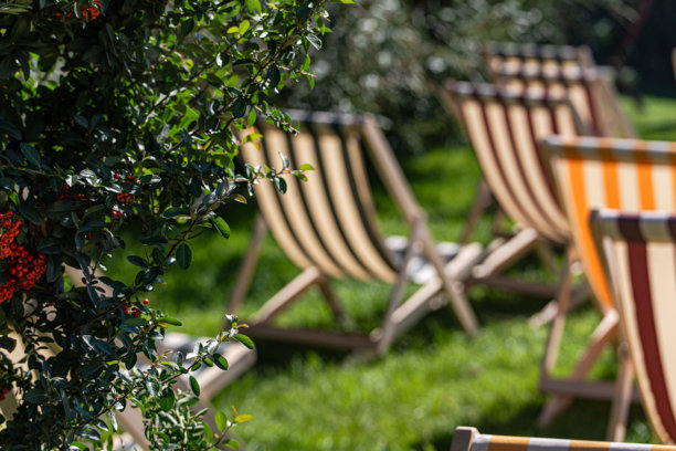 花园里的复古风格椅子图片下载