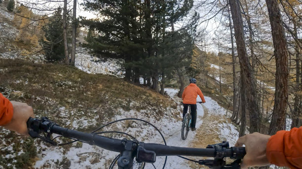 第一视角跟随一名年轻女子在秋季的森林中骑行电动山地自行车图片下载