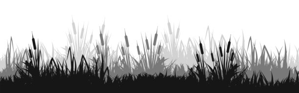 全景夏季草坪景观，有香草和各种杂草。草本边界，框架元素。黑色横幅。矢量图图片下载