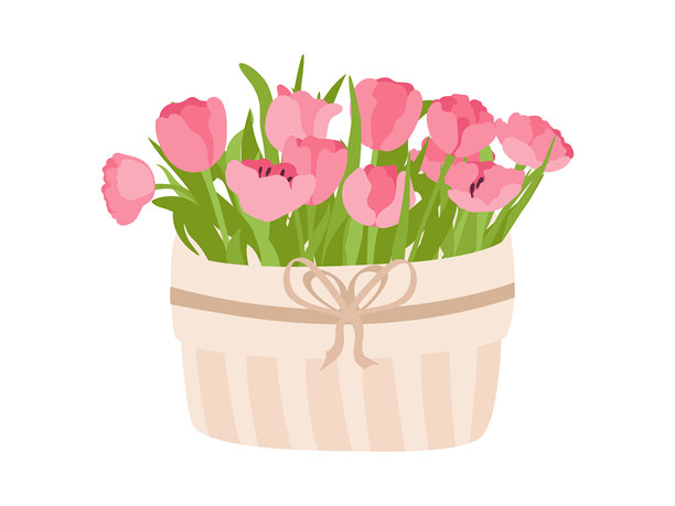 粉色郁金香，装在精致的礼品盒中。扁平矢量插画，孤立在白色背景上。适合春季庆典、母亲节、约会、情人节的优雅花卉装饰。图片下载