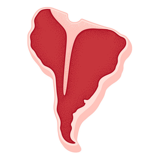 南美洲形状的T骨牛排图片下载