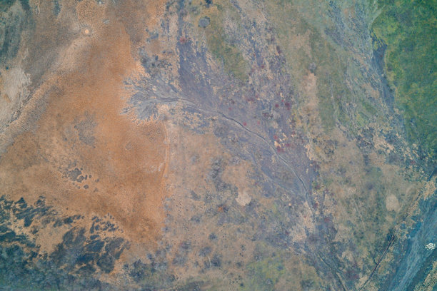 抽象的地面纹理，带有泥浆径流和干草，地质侵蚀背景，航拍无人机俯视镜头，冲积扇和树枝状模式图片下载