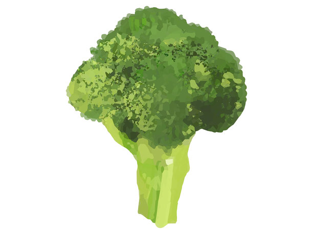 西兰花小朵插画（基本颜色和形状）图片下载