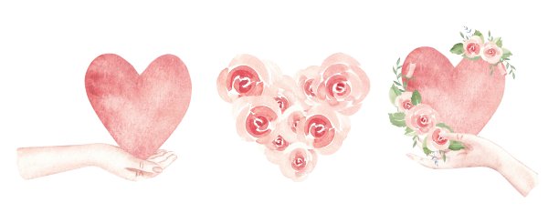 圣瓦伦丁节或婚礼、订婚组合，配有女性手捧心形和粉色玫瑰。水彩手绘插画，孤立在白色背景上。用于海报、卡片或请柬的浪漫设计元素。图片下载