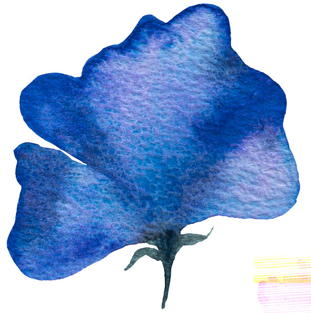 水彩风格的亮蓝色野花孤立插画，用于柔和花卉婚礼和祝福元素图片下载