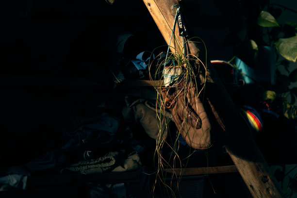 夜晚，鞋子悬挂在长满植物的木质结构上，空间光线昏暗图片下载