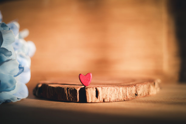 带有蓝色花朵的木片上的小红心。用于情人节背景的浪漫爱情概念，并留有复制空间。适用于婚礼或节日贺卡设计的质朴复古风格装饰。图片下载