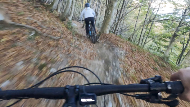 第一人称视角，跟随年轻女子骑行电动山地车穿过森林图片下载