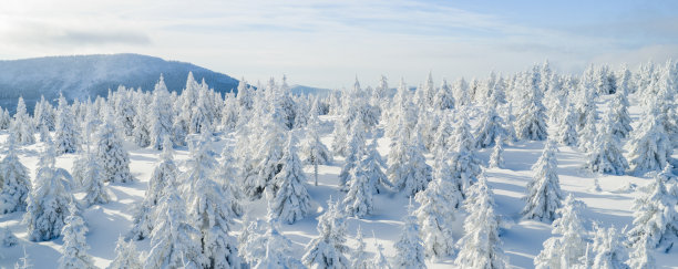 冬季山地景观，覆盖着雪的常绿森林和起伏的平缓地形。原始的高山风光，带有长长的阴影、蓝色调以及晴朗冬季光线下未被触碰过的积雪。图片下载