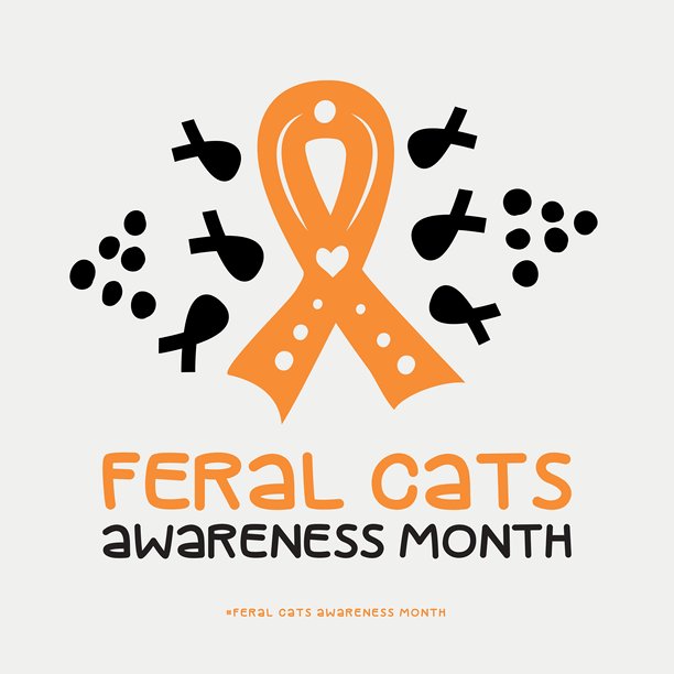 流浪猫意识月，矢量插画宣传设计图片下载