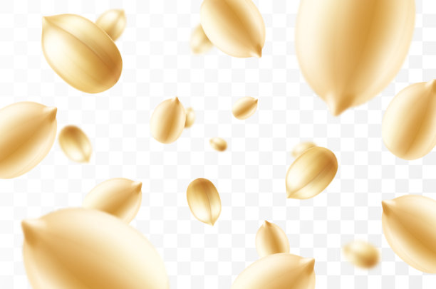 飘落的花生，透明背景，焦点选择。飞舞的花生带有模糊效果。可用于广告、包装、横幅、海报。写实的3D矢量插画图片下载