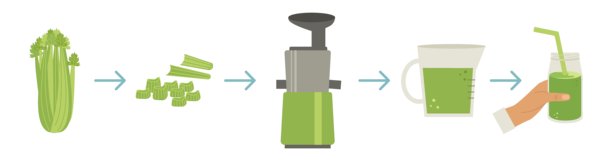 制作芹菜汁。图片提供清晰步骤说明。箭头指示工作阶段。图片下载