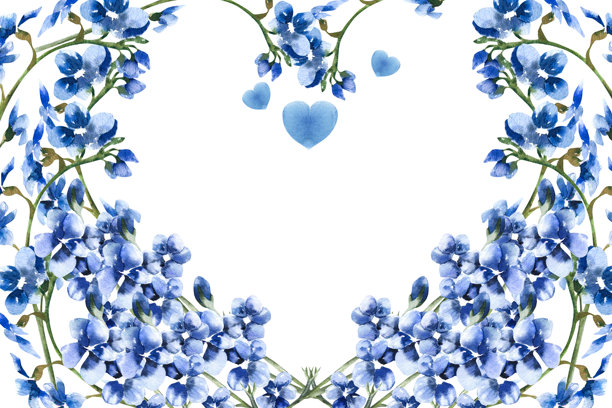 浪漫的蓝色田野花卉和心形水彩插画，组成的爱心形状复古花卉边框横幅。情人节复古剪贴画，带有花瓣天空色花朵，适用于海报、卡片、包装设计。图片下载