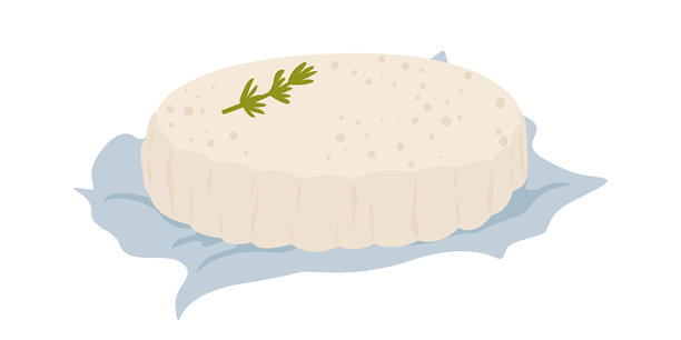 羊皮纸上的卡门贝尔奶酪。矢量插画，孤立在白色背景上。带有迷迭香香料的圆形布里奶酪。图片下载