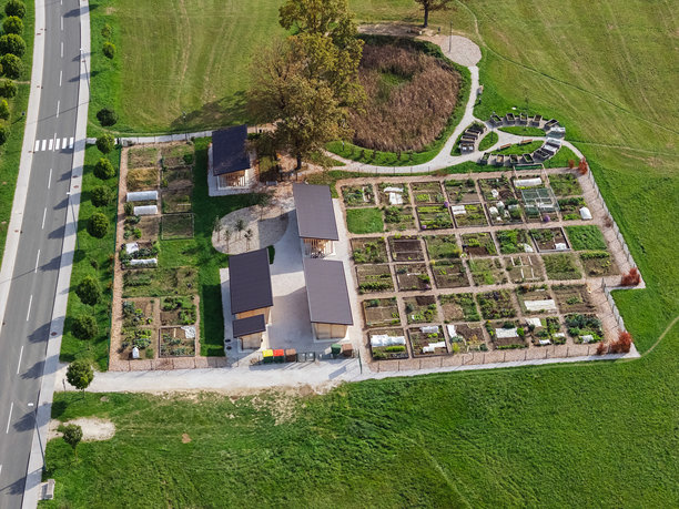 社区花园促进城市本地食物供应和绿色空间建设图片下载