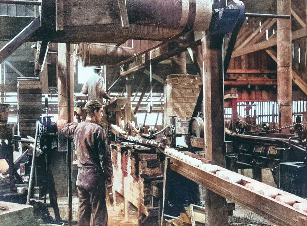 加拿大罐头三文鱼图片下载