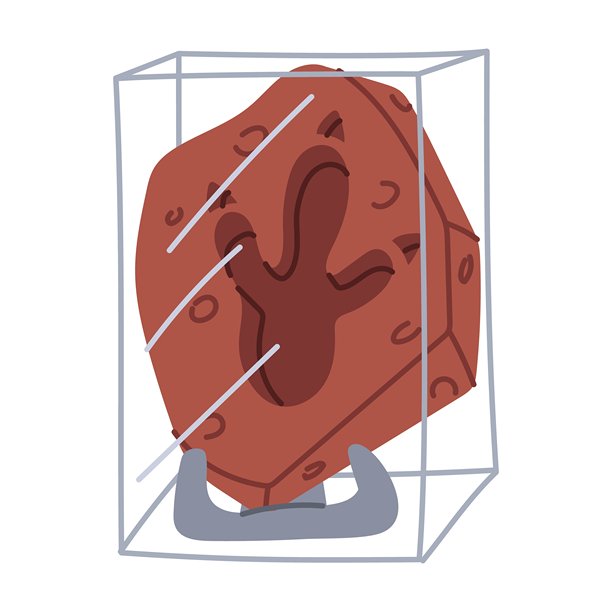 化石与霸王龙脚印，置于展台上，玻璃罩下，作为博物馆展品。岩石中恐龙的剪影。平面彩色插画。适用于科学项目、百科全书、博物馆展览。图片下载