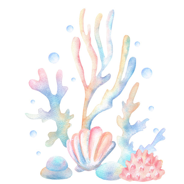 水下童话场景，包含珊瑚、海藻、贝壳、石头和气泡。海洋世界剪贴画。手绘水彩插画，适用于水下主题的托儿所、贴纸和封面设计。图片下载