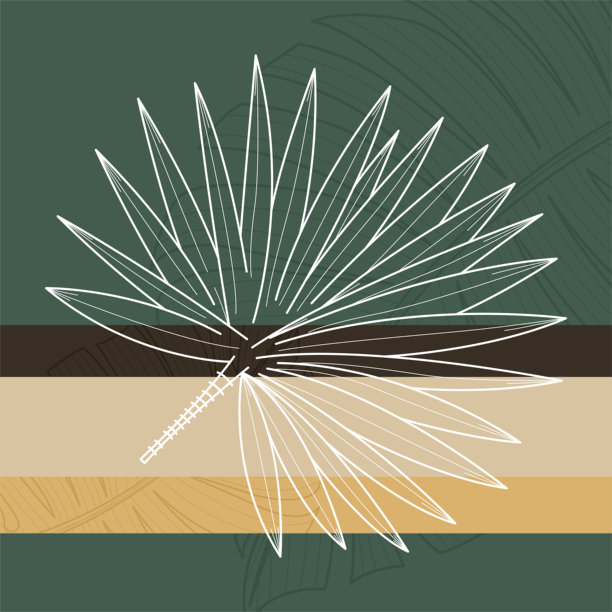 波西米亚风格植物抽象插画图片下载