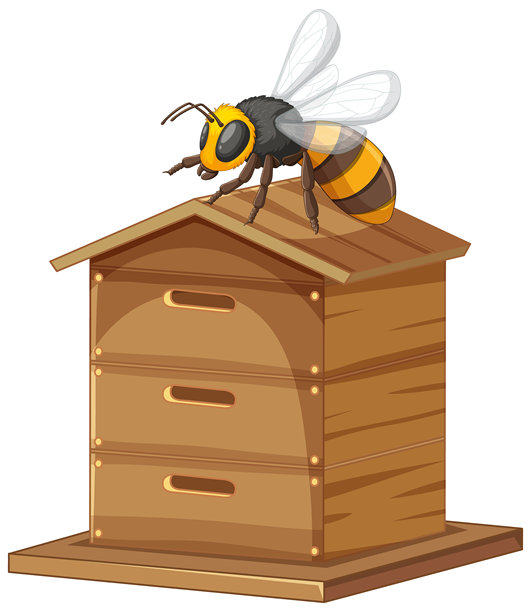 蜂蜜在木蜂箱盒上休息的插画图片下载