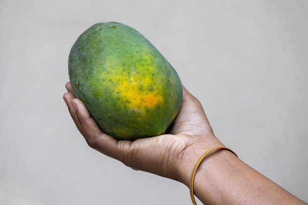 特写镜头，展示一只女性手呈上一个完整成熟的木瓜。高质量图片，适用于健康饮食主题、有机农业、富含维生素的超级食品和天然零食。图片下载
