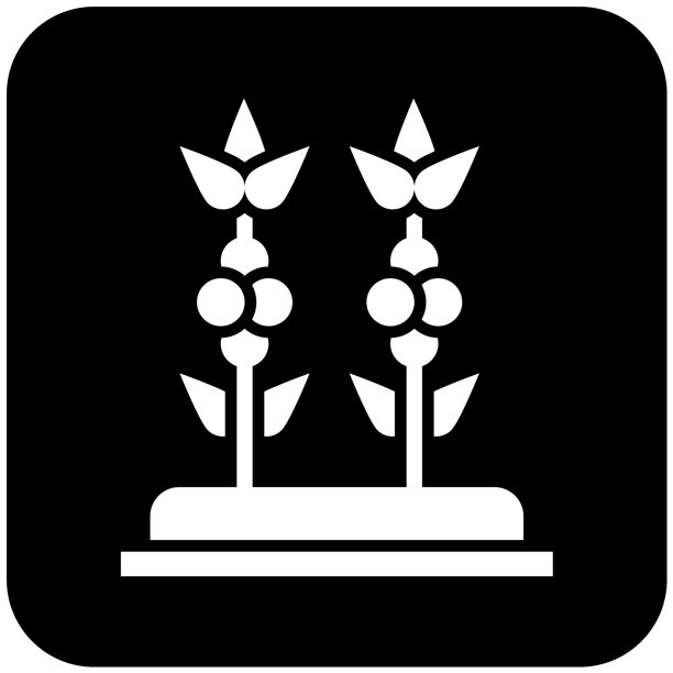 咖啡种植植物矢量图标设计插画图片下载