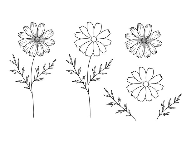 宇宙 - 十月诞生的花朵，单色风格的线条艺术矢量图集。手绘植物插画。表达个性、极简主义和纹身设计的花卉草图。图片下载