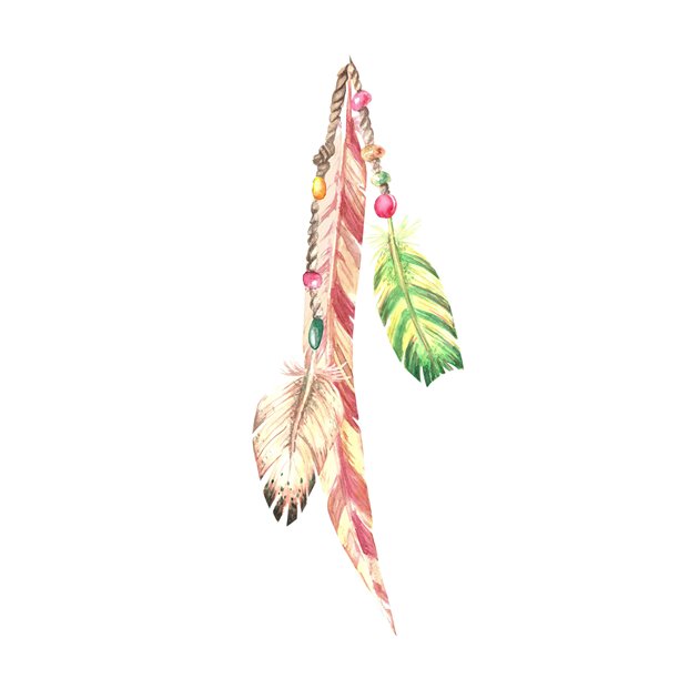 手绘水彩风格的红绿色羽毛组合，孤立在白色背景上。简单的装饰性矢量图元素，适用于珠宝、时尚饰品、护身符和捕梦网。图片下载