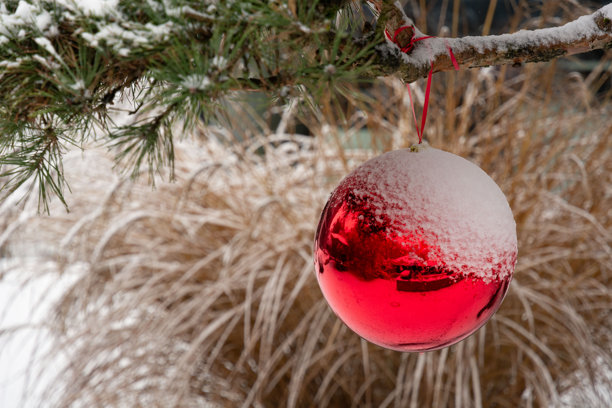 圣诞节城市景观背景，带有雪景和文字空间。白雪皑皑的城市景观。特写一棵覆盖着雪的松树枝上放置着一个大红球。图片下载