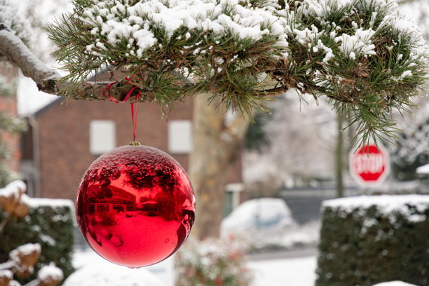 下雪的城市景观背景，带有文字空间。白雪皑皑的城市风光。特写镜头，一个大红球坐落在覆盖着雪的松枝上。图片下载