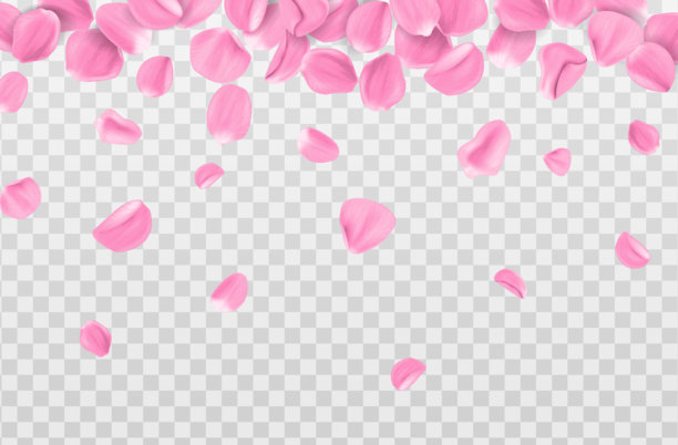 3D写实矢量插画。粉色樱花花瓣飘落的边框，孤立在透明背景上。美容和化妆品背景展示。图片下载