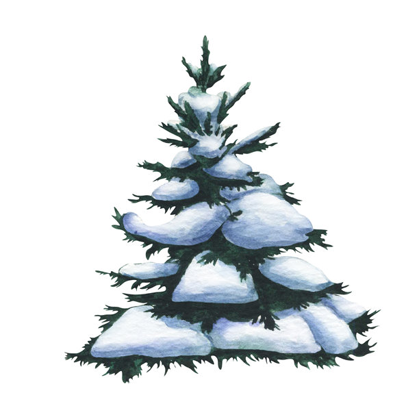 雪中的云杉树。雪松树覆盖着雪的白色背景水彩插画。孤立的圣诞树覆盖着雪。用于设计、邀请函或明信片的雪林树木。图片下载
