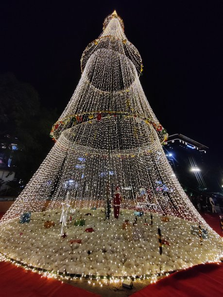 圣诞夜的圣诞树装饰图片图片下载