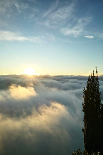 一棵高大的柏树在前景中，上方是白云海，下方是蔚蓝的天空，有美丽的光线和温暖的金色，展现出令人惊叹的日出景象，垂直照片图片下载