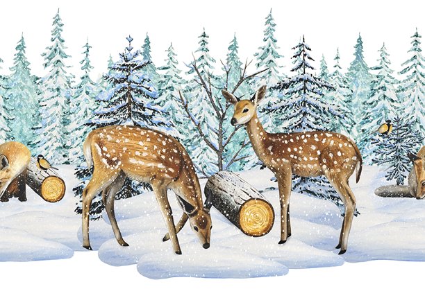 手绘冬季无缝边框，描绘了雪林中的梅花鹿图片下载