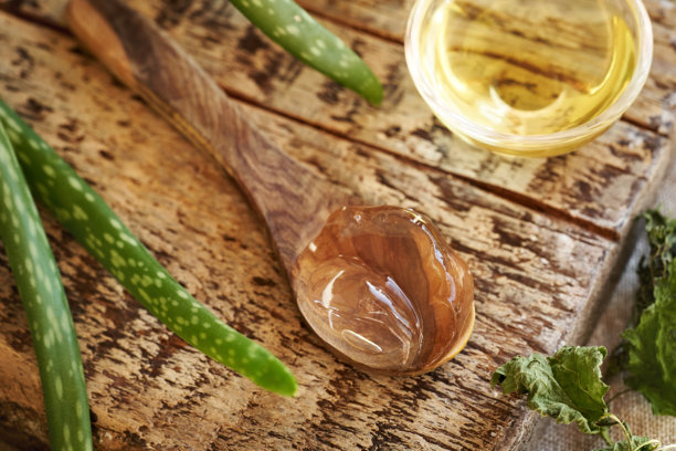 芦荟胶和叶子、干荨麻和摩洛哥坚果油——自制洗发水的成分图片下载