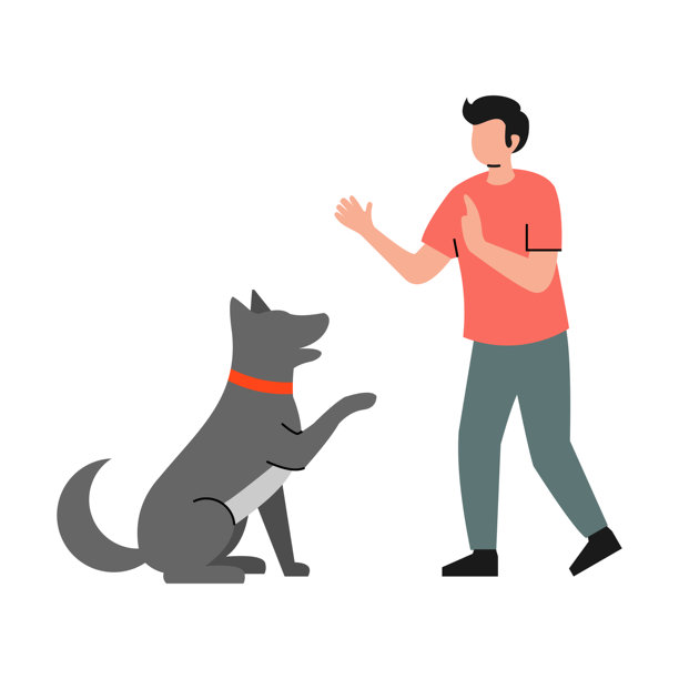 宠物护理插画扁平化矢量设计图片下载