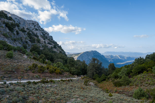 蜿蜒的道路穿过撒丁岛的山地景观图片下载