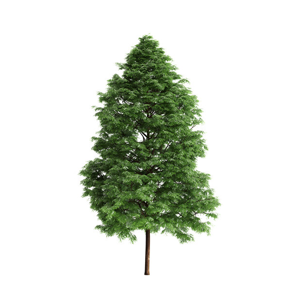 黑色背景上的蓬蘽灌木植物三维插画图片下载