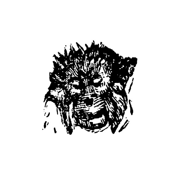 红毛猩猩头部，面部特征，毛发纹理和富有表现力的眼睛，老式复古插画，1897年。图片下载