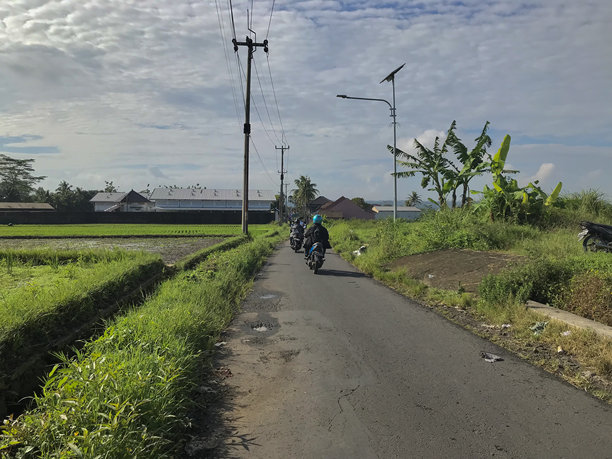 印度尼西亚，摩托车手沿着狭窄的乡村道路骑行，两侧是绿色的稻田图片下载