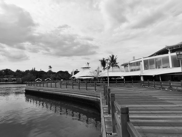 黑白照片，美好的一天，户外，海滩氛围，建筑，外部设计，建筑，桥梁，景观视图图片下载