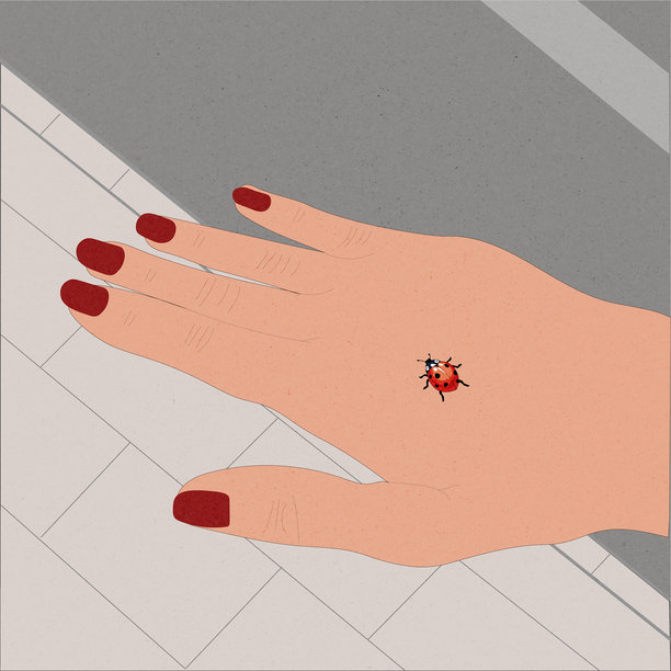 手部皮肤上有红色指甲油和瓢虫的插画图片下载