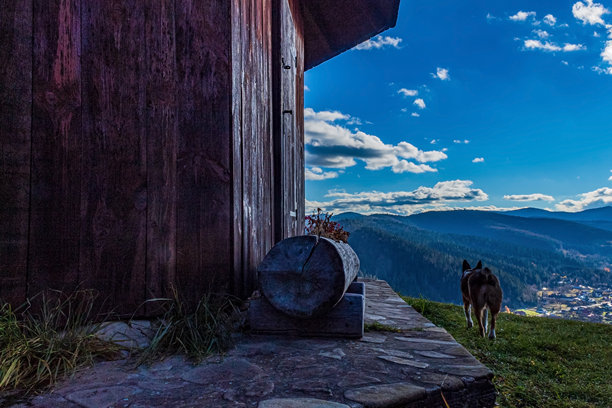 风景、森林、喀尔巴阡山脉、自然风光照片 - 欧洲、东欧图片下载