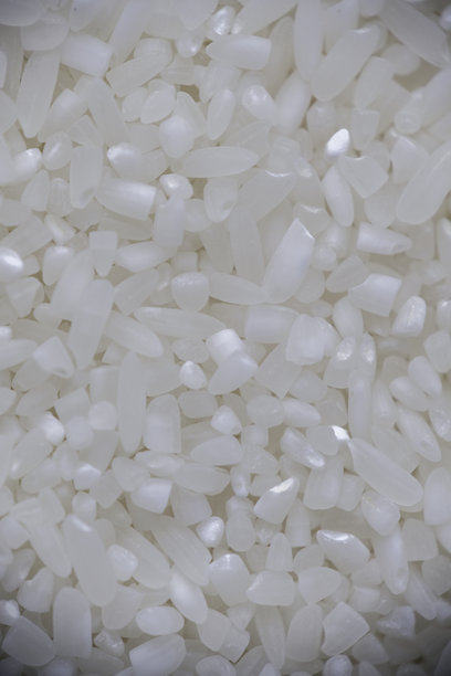 稻谷特写照片图片下载