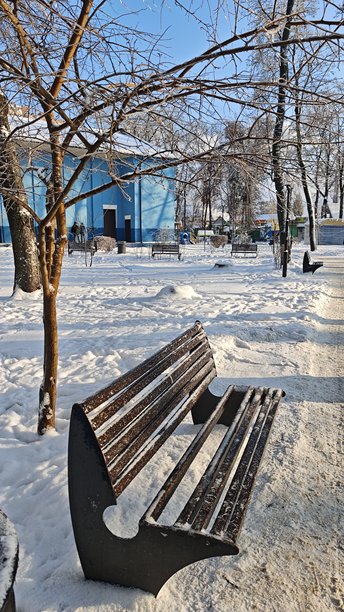 城市公园里，雪覆盖的公园长椅位于冬季步道上，周围是光秃秃的树木和晴朗的蓝天。概念是城市冬季景观、季节的宁静和户外公共空间。图片下载