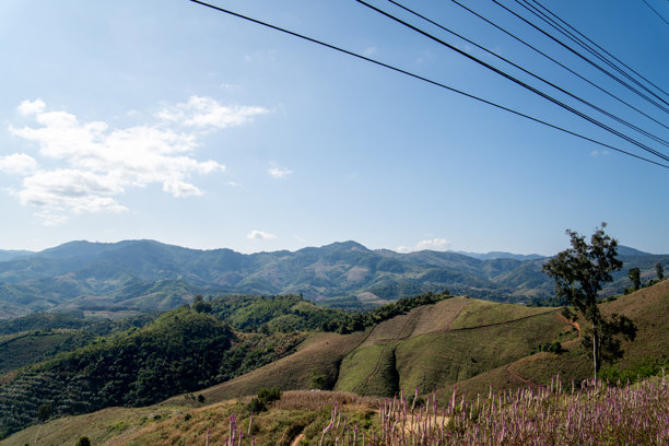 乡村山地景观，有梯田、树木和横跨天空的电线。展现了人类存在于自然地形中的农业乡村景象。图片下载