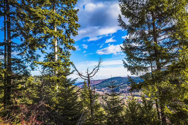 风景、森林、喀尔巴阡山脉、自然风光照片 - 欧洲、东欧图片下载